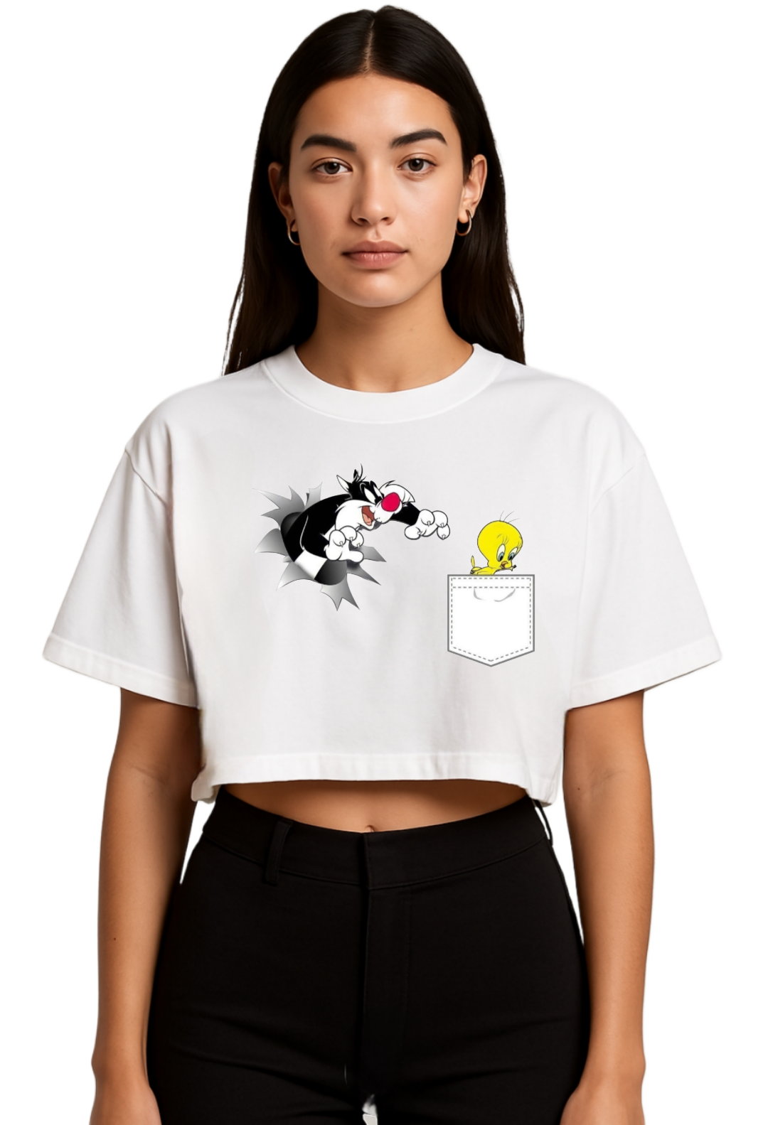 Cat & tweety bird crop top