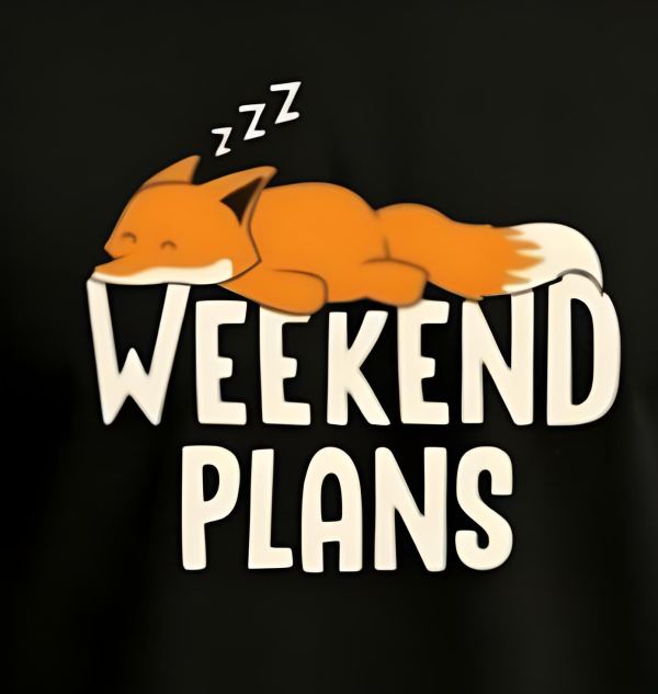 Weekend Plan tshirt - Image 2